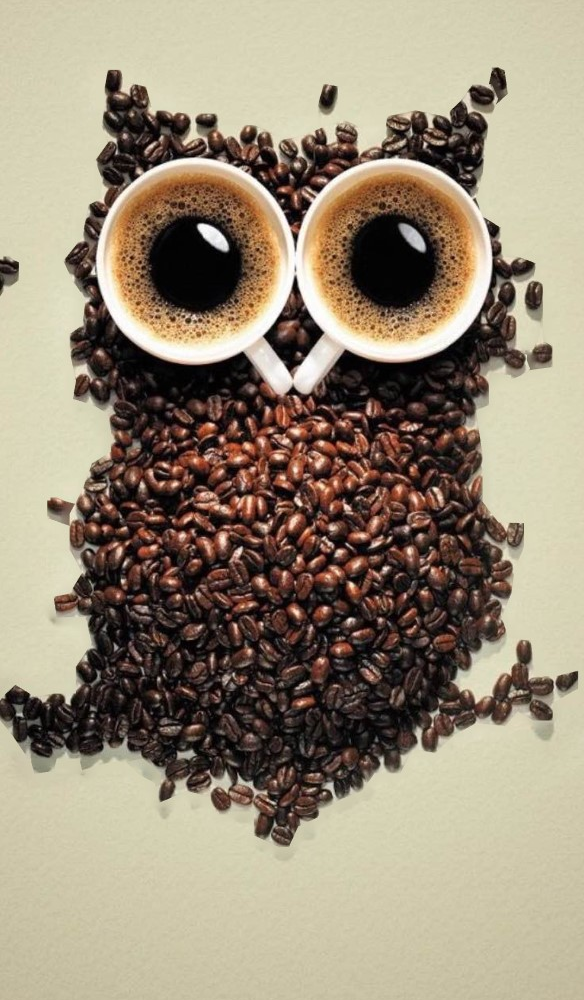 Pūce no kafijas pupiņām veidota