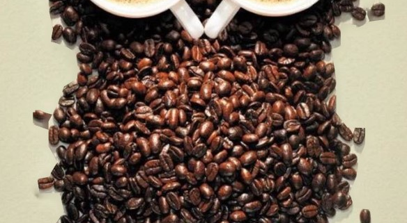 Pūce no kafijas pupiņām veidota