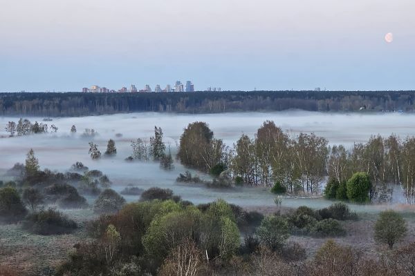 Zanda Birze "Pārdaugava mostas"