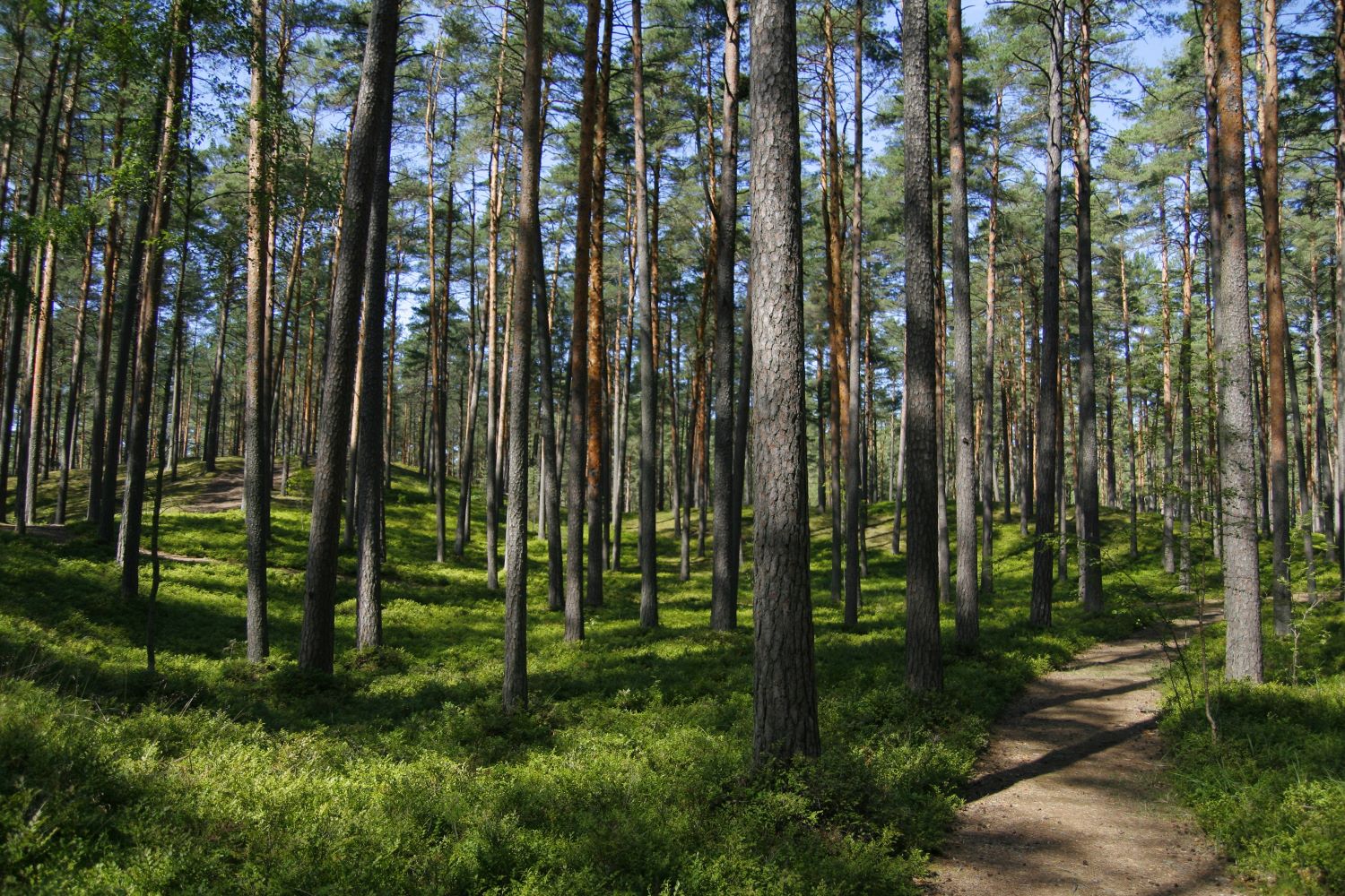 Beberbeķu_Dabas parks