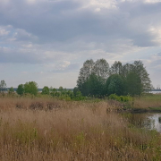 Jaunciema dabas liegums