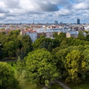 Rīgas skats-koki